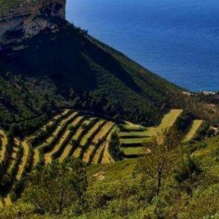 Lou Corail Cassis Kültér fotó